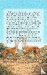  - Alles over de Podenco