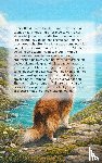  - Alles over de Sheltie