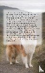  - Alles over de Collie