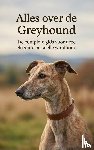  - Alles over de Greyhound
