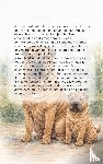  - Alles over de Shar Pei