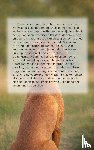  - Alles over de Vizsla