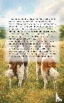  - Alles over de Springerspaniel