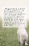  - Alles over de Bichon Frise