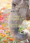 Joy, Aowa - Het temmen van de olifant