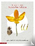 Schaminée, Joop, Haveman, Rense, Lemmens, Roel, Winter, Wim de - Nova Flora Neerlandica deel 3 - Lis-, Narcis- en Lelieachtigen