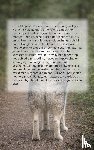  - Alles over de Pomsky