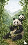 B.V., Andries - Alles over Pandabeeren