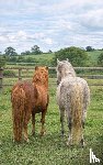 B.V., Andries - Alles over Pony's