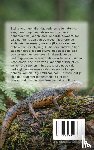  - Alles over de Salamander