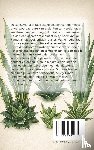  - Alles over de Sansevieria