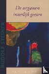 Steiner, Rudolf - De organen innerlijk gezien
