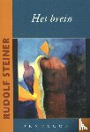 Steiner, Rudolf - Het brein