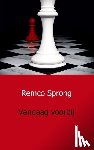 Sprong, Remco - Vandaag voorbij