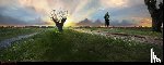 Florie, Susanna - Daisy