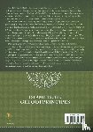  - Islamitische geloofprincipes