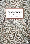 Hagenaar, Aedith - Pijndagboek