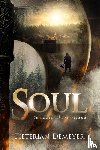 Demeyer, Pieterjan - Soul