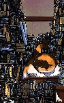 Miyazawa, Kenji - Het kattenkantoor