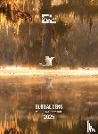  - Global Lens Photography Awards 2025 - Official Collection