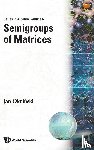 Okninski, Jan (Warsaw Univ - Semigroups Of Matrices