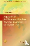 Prasad, Phoolan - Propagation of Multidimensional Nonlinear Waves and Kinematical Conservation Laws