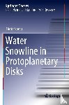 Notsu, Shota - Water Snowline in Protoplanetary Disks