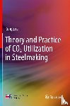 Zhu, Rong - Theory and Practice of CO2 Utilization in Steelmaking