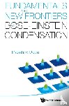 Ueda, Masahito (Univ Of Tokyo - Fundamentals And New Frontiers Of Bose-einstein Condensation