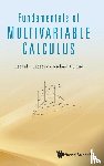 Lebedev, Leonid P (National Univ Of Colombia, Cloud, Michael J (Lawrence Technological Univ - Fundamentals Of Multivariable Calculus