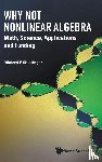 Shlesinger, Michael F (Office Of Naval Research - Why Not Nonlinear Algebra: Math, Science, Applications And Funding