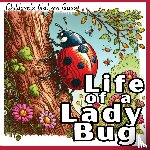 M Borhan - Life of a Lady Bug