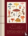 Victionary - FUNGAL INSPIRATION