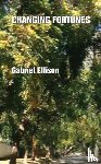 Ellison, Gabriel - Changing Fortunes
