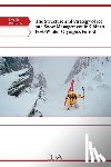 Liu, Zhixin - The Structure and Strategy of Ice and Snow Management in China's Post-Winter Olympics Period