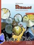 Kleinehanding, Ralf - Drumroad - Schule für das Drumset Heft 1 - Schule für das Drumset - Heft 1