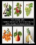 Press, Vintage Revisited - Vintage Art: Pomological Watercolor: Ephemera Collection: Botanical Fruit Prints
