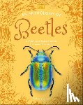Jones, Richard - An Anthology of Beetles: A Collection of Brilliant Beetles from Around the World