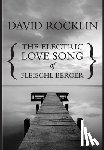 Rocklin, David - The Electric Love Song of Fleischl Berger