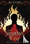 Talley, B. L. - Realm of Shadows and Flame: Book 1 in the Court of Infinites Series