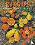 Walheim, Lance - Citrus