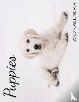 Patrick, B. - Puppies 2027 Calendar