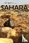 L. García, José - Meteorites from Sahara
