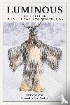 Calvo, Kike - Luminous