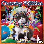 Browntrout - Avanti Cranky Kitties 2026 Square Flap Foil Calendar
