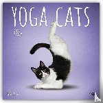 Browntrout Publishers Inc - Yoga Cats - Katzen Yoga 2026 - 16-Monatskalender