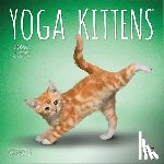 Browntrout - Yoga Kittens 2026 Mini 7x7 Calendar
