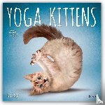 Publishers, Browntrout - Yoga Kittens 2026 Square Plato Calendar