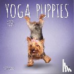 Browntrout - Yoga Puppies 2026 Mini 7x7 Calendar