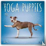 Publishers, Browntrout - Yoga Puppies 2026 Square Plato Calendar